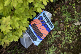 Das Buch Same Bold Stories liegt mit dem orangeblauen Umschlag nach oben auf einem Stein 