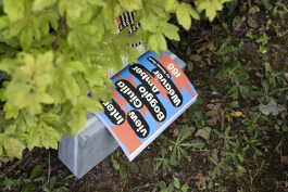 Halb von einem grünen Busch versteckt liegt das aufgeschlagene Buch Same Bold Stories auf dem Boden 
